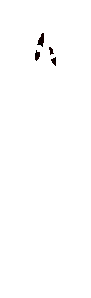 Rue GIF